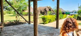 Engiri Game Lodge and Campsite - 9