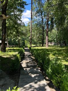 Домик в лесу - - 7