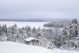 Metsäsydän huonemajoitus - Puumala - 2
