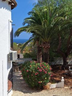 Appartment Paquero downstairs with your own private garden and your own private pool - 6