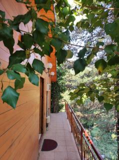 Hotel Toni Llogora - Llogara - 7