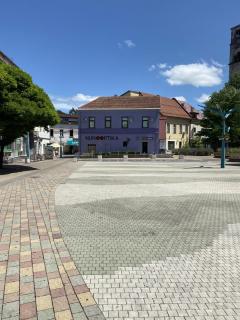 Apartments & Rooms Fountain - Bihać - 5