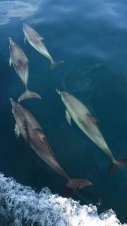 Experiência a bordo em Angra - 5