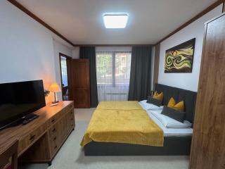 Family Luxury Private Apartment for 4 max 6 people in 4 star SPA Resort St Ivan Rilski, Bansko - Bansko - 7