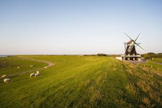 Fewo Nordermühle - Pellworm - 9