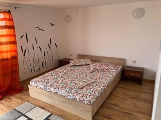 Vila Tuzla - Tuzla - 4