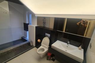 Chic Retreat in Bună Ziua - Jacuzzi, Outdoor Gym, BBQ, Parking - Cluj-Napoca - 5