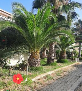 ZELIS FAMILY House - Asilah - 0