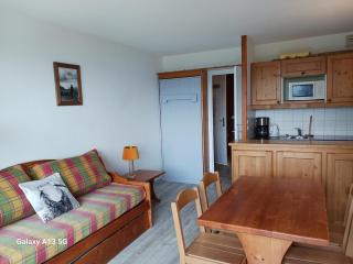 2 pièces pour 5 pers, piscine, animaux admis, parking, proche télécabine - FR-1-411-320 - Arc 1800 - 9