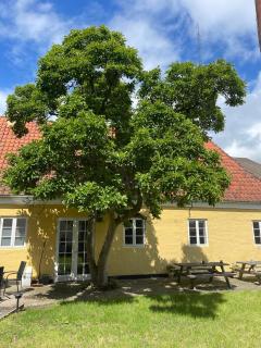 Faaborg Vandrerhjem Hotel - Faaborg - 3