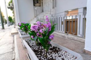 Kastella Bohemian Pied a Terre - 7