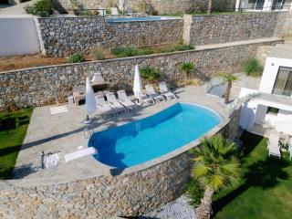Hillside Villa - Pnoe - Limenas - 2