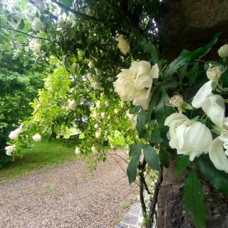 Casale Sambuceto - 7
