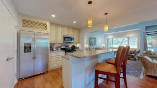 204 Turnberry Village - Hilton Head Island - 7