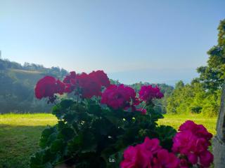 Casale Sambuceto - 1