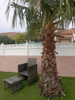 Chambre Simple & Spa & Piscine & plage - Valras-Plage - 3