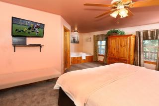 Pine Needles by Eden Crest - Pigeon Forge - 7
