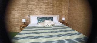 Cerami Jungle Suite - Catania - 9