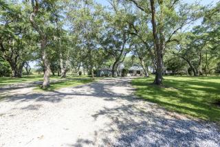 Birdsong Cottage - Freeport - 5