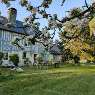 Manoir La Tasserie - Saint-Philbert-des-Champs - 3