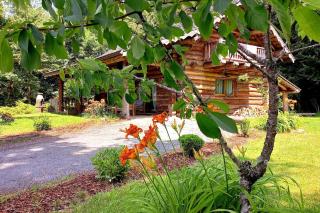 Chalet des lacs - Saint-Hilaire-les-Courbes - 2