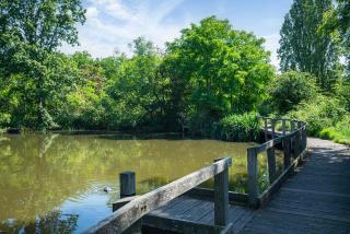 4BR House Minutes from Transport & Attractions - Londra - 9