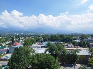 Almaty City Apartment - Almaty - 2