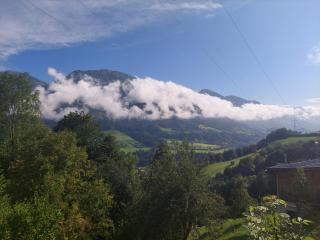 Ferienappartment Hölzl - Sankt Veit im Pongau - 8