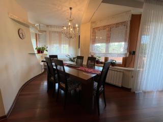 Luxurious Oasis - Novi Sad - 6