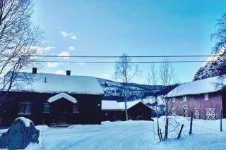 Naturskjønt og sentralt, flott beliggende stor hytte - Fausko - 9