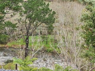 Thames River Valley Studio Retreat 3 - Thames - 3