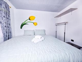 Casa Tulipán - - 7