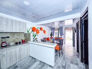 Casa Tulipán - - 9
