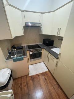Entire cosy flat opposite Victoria and Piccadilly - Londra - 4