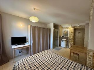 Les Lumières de Genève - 8