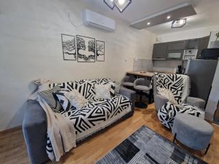Apartmani Djuric Grey - Subotica - 4