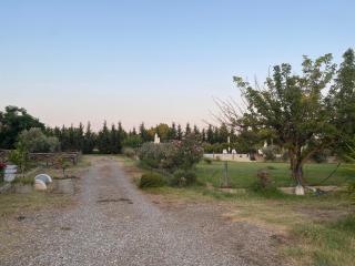 Tenuta Traversa - Botricello - 3