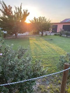 Tenuta Traversa - Botricello - 1