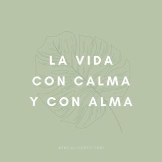 Hotel Calma - Turbaco - 9