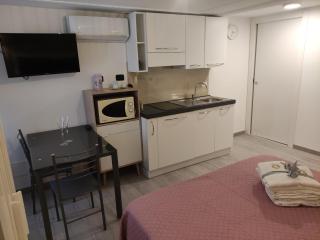 Palazzo Carignano - 1