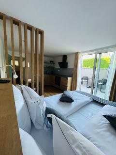 Apartma Neja - Žirovnica - 0