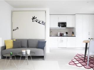 Modern Smart Studios with Prime City Center Location - AL9 - Lausanne - 0