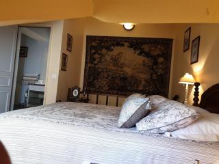 le logis medicis - Bléré - 1