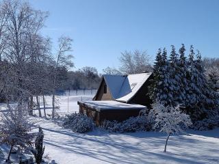 Romantic Greenhouse - 6