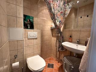Cozy City Studio with free parking - Oslo - 1