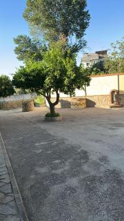 Hosteria La Higuera - Garrovillas - 6
