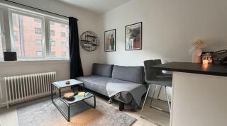 Cozy City Studio with free parking - Oslo - 7