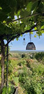 PLEIN SUD - Tourrettes-sur-Loup - 1