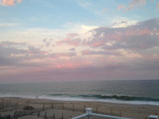 Pet-Friendly Private Beach Oceanfront Cottage - Charlestown - 9