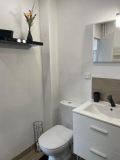 Appart 4 personnes 1 ch Laval - Laval - 5